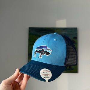 NWT Patagonia Fitz Roy Bison Trucker Hat